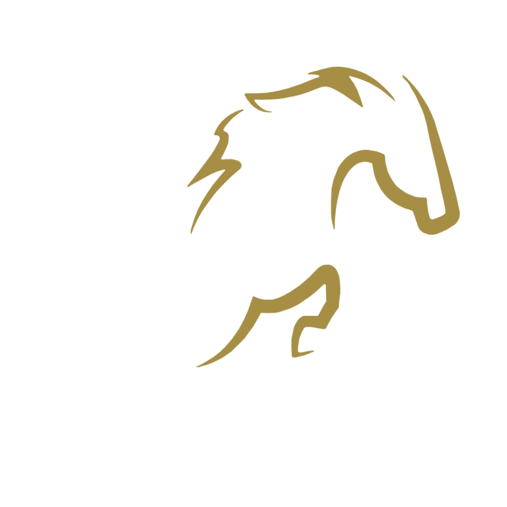 Logo Horse Team Spirit